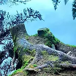 Seenswert - Ein Wohlfuehlort, In Dem Alle Herzlich Willkommen Sind Casa de hóspedes Pahl